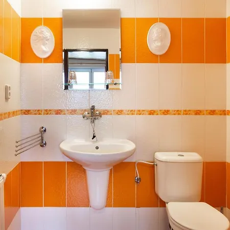 罗莎莉亚膳食公寓酒店 招待所 科希策