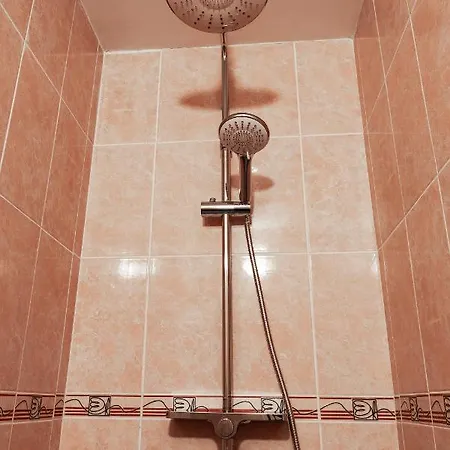 罗莎莉亚膳食公寓酒店 * 科希策