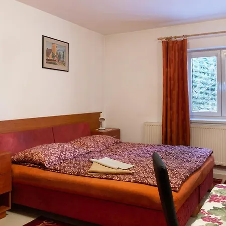 招待所 罗莎莉亚膳食公寓酒店 *