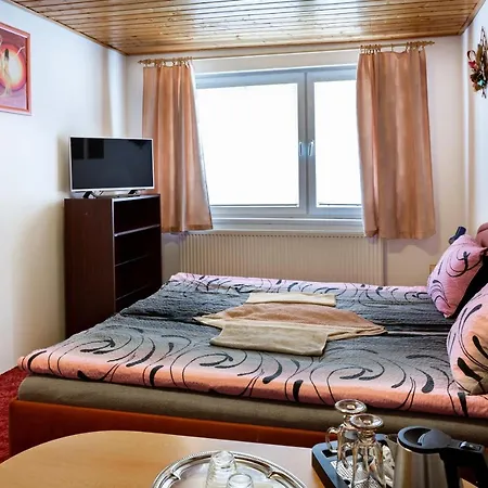 罗莎莉亚膳食公寓酒店 招待所 科希策