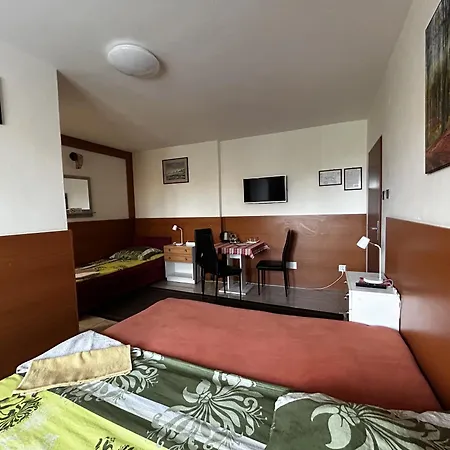 罗莎莉亚膳食公寓酒店 招待所 科希策