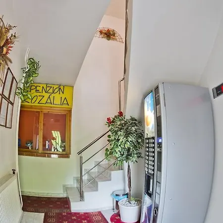 罗莎莉亚膳食公寓酒店