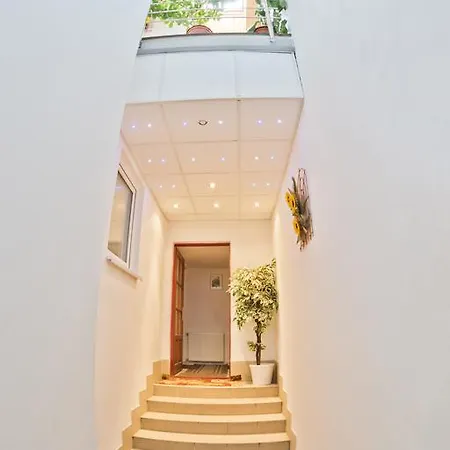 罗莎莉亚膳食公寓酒店 招待所