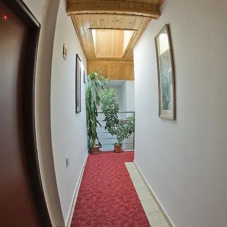 招待所 罗莎莉亚膳食公寓酒店 *